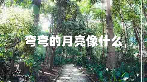 彎彎的月亮像什么