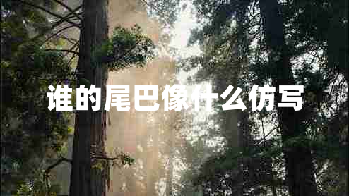 誰(shuí)的尾巴像什么仿寫(xiě)