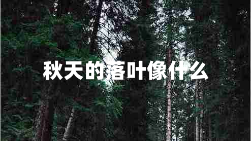 秋天的落葉像什么