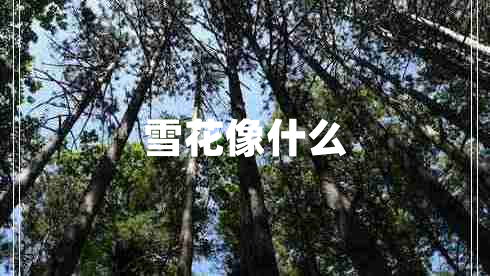 雪花像什么 雪花像什么