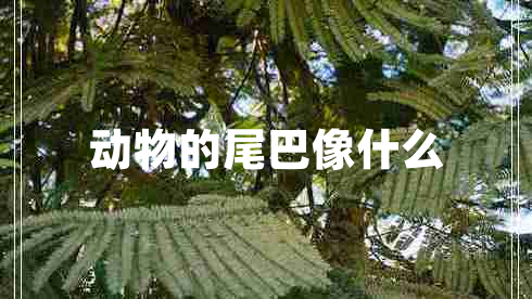 動(dòng)物的尾巴像什么 動(dòng)物的尾巴像什么