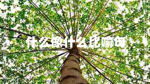 什么像什么比喻句