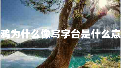 烏鴉為什么像寫(xiě)字臺(tái)是什么意思 烏鴉為什么像寫(xiě)字臺(tái)是什么意思