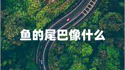 魚的尾巴像什么