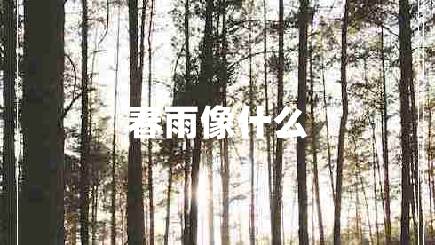 春雨像什么 春雨像什么