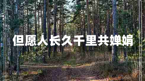 但愿人長久千里共嬋娟