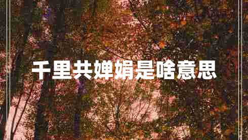 千里共嬋娟是啥意思