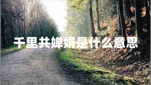 千里共嬋娟是什么意思 千里共嬋娟是什么意思