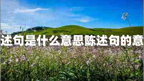 陳述句是什么意思陳述句的意思