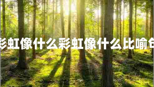 彩虹像什么彩虹像什么比喻句