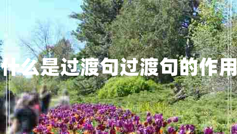 什么是過(guò)渡句過(guò)渡句的作用