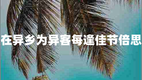 獨(dú)在異鄉(xiāng)為異客每逢佳節(jié)倍思親 獨(dú)在異鄉(xiāng)為異客每逢佳節(jié)倍思親