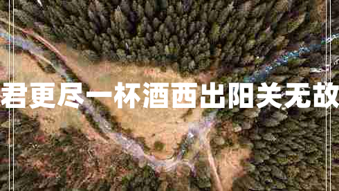 勸君更盡一杯酒西出陽關(guān)無故人