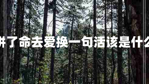 我拼了命去愛換一句活該是什么歌 我拼了命去愛換一句活該是什么歌
