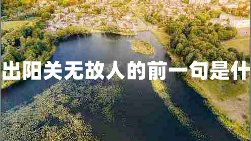 西出陽關(guān)無故人的前一句是什么 西出陽關(guān)無故人的前一句是什么