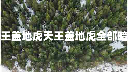 天王蓋地虎天王蓋地虎全部暗號