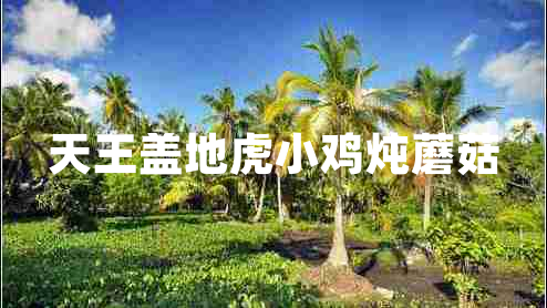 天王蓋地虎小雞燉蘑菇