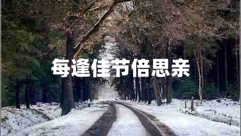 每逢佳節(jié)倍思親 每逢佳節(jié)倍思親