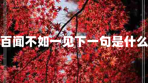百聞不如一見(jiàn)下一句是什么 百聞不如一見(jiàn)下一句是什么