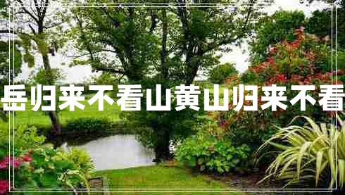 五岳歸來不看山黃山歸來不看岳