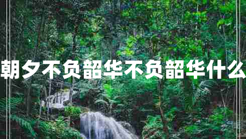 只爭(zhēng)朝夕不負(fù)韶華不負(fù)韶華什么意思