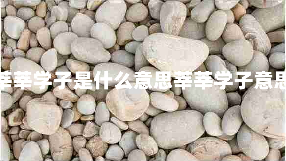 莘莘學(xué)子是什么意思莘莘學(xué)子意思