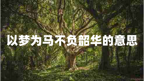 以夢為馬不負(fù)韶華的意思 以夢為馬不負(fù)韶華的意思