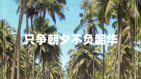 只爭朝夕不負(fù)韶華