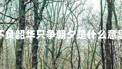 不負韶華只爭朝夕是什么意思