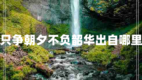 只爭(zhēng)朝夕不負(fù)韶華出自哪里