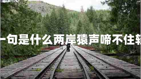 兩岸猿聲啼不住的下一句是什么兩岸猿聲啼不住輕舟已過萬重山的意思