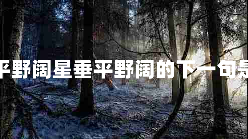 星垂平野闊星垂平野闊的下一句是什么