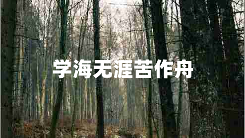 學海無涯苦作舟 學海無涯苦作舟