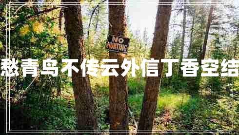 丁香空結(jié)雨中愁青鳥不傳云外信丁香空結(jié)雨中愁的意思