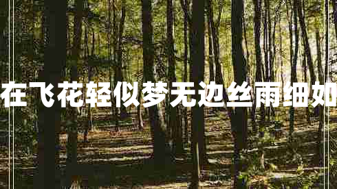 自在飛花輕似夢無邊絲雨細(xì)如愁