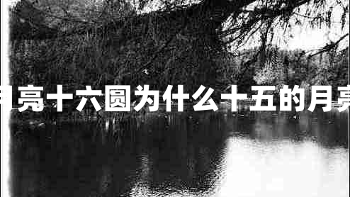 十五的月亮十六圓為什么十五的月亮十六圓