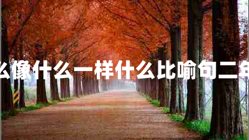 什么像什么一樣什么比喻句二年級(jí) 什么像什么一樣什么比喻句二年級(jí)