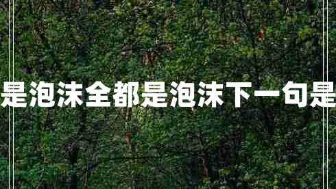 全都是泡沫全都是泡沫下一句是什么