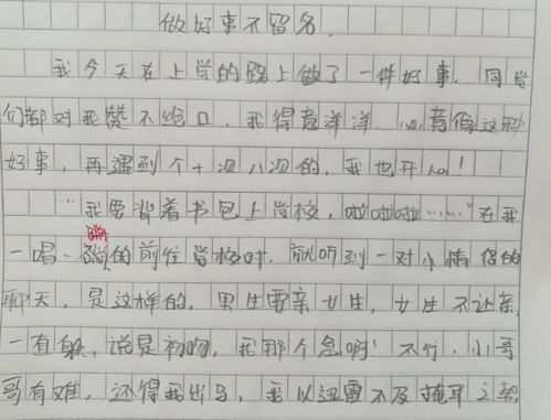 夏天校園即景作文25字