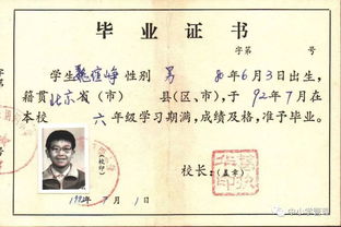 鐫刻在校園里的記憶作文