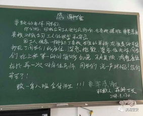 臺風過后一片狼藉的作文,臺風過后的景象作文,臺風過后的情景作文