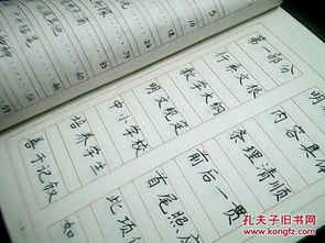 書法進(jìn)校園四百字作文