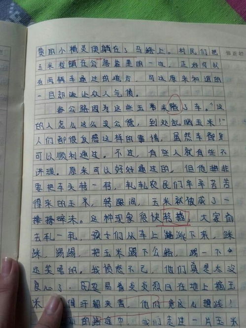 作文,一件事,校園里,開學(xué)