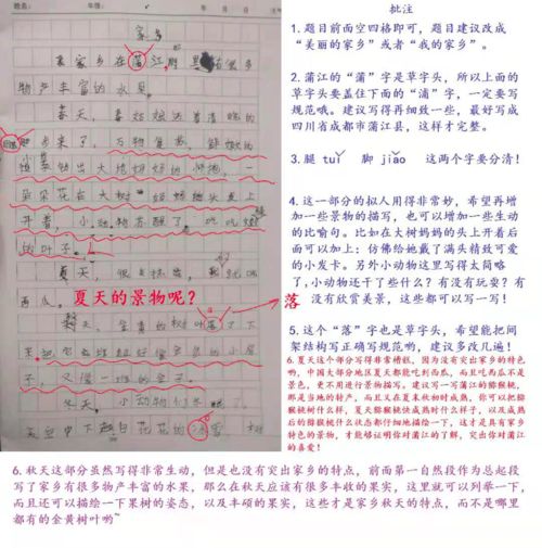 我的校園介紹孔子的作文