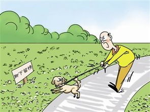 校園的樹被砍伐作文