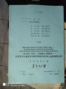 南中的校園作文