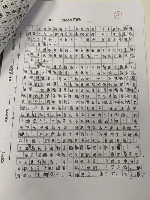 校園活動的作文500字作文