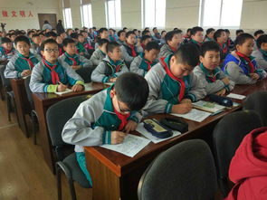 作文,從我做起,遠(yuǎn)離,校園暴力