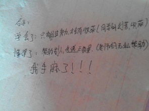 熱鬧的校園寫一篇作文,熱鬧的校園作文三年級(jí),熱鬧的校園作文300字