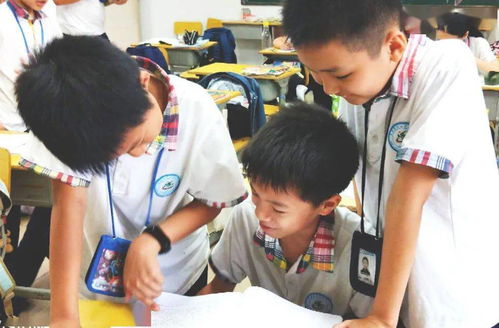 北海二小校園作文